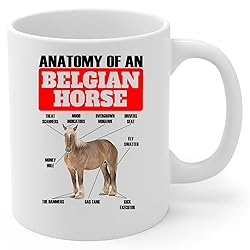 Lovesout Funny Chestnut Belgian Horse Anatomy Chart