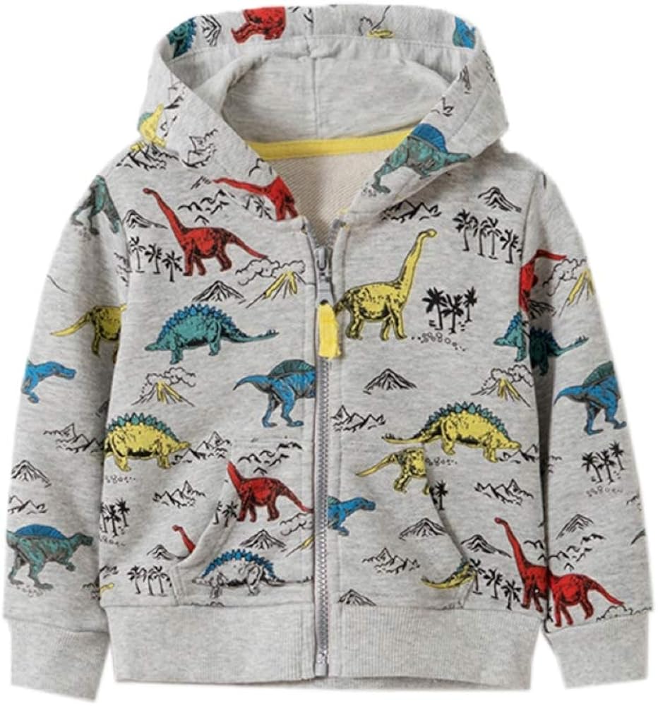 boys fox hoodie
