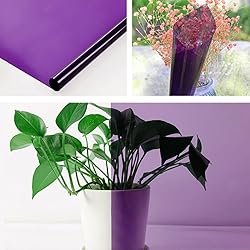 JISYIBOFF Window Decorative Film Transparent