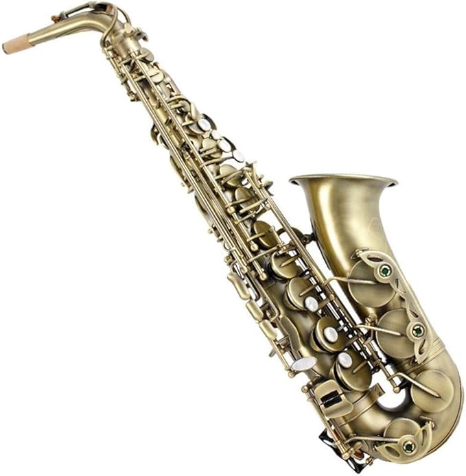 QPLKKMOI Student Alto Saxophone E Flat Gold Lacquer Beginner Amazon.ca