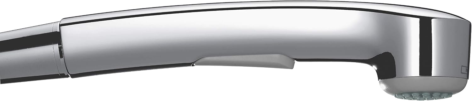 Hansgrohe Bidette 28338000 Shower Head for Toilets and Personal Hygiene ...
