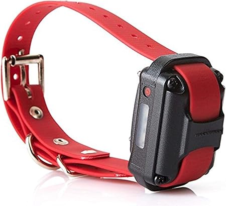 mini educator second collar