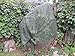 Bird Net for Plant Protection -Soft Mesh Fabric -Bird Friendly -5 feet by 10 feet