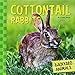 Cottontail Rabbits (Backyard Animals) by