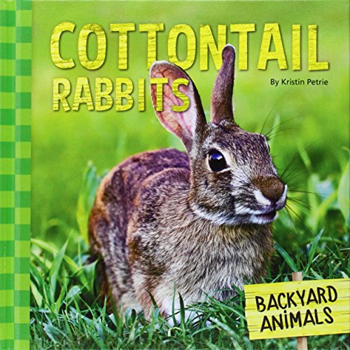 Cottontail Rabbits (Backyard Animals) by Kristin Petrie