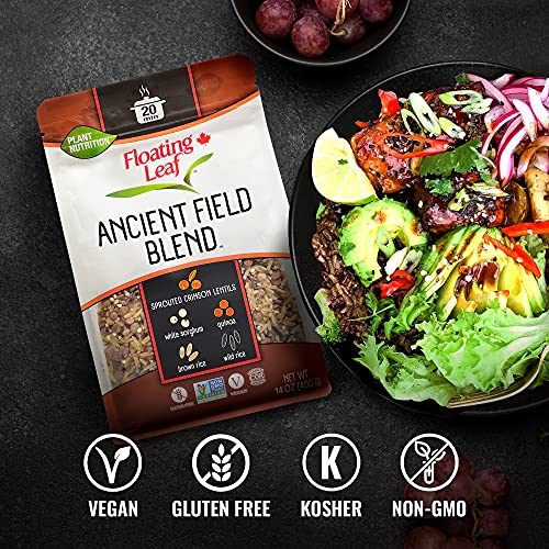 Floating Leaf Ancient Field Blend, Wild Rice Blend with Sprouted Crimson Lentils, White