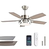 SNZ 42 Inch Ceiling Fans with Lights and Remote/APP