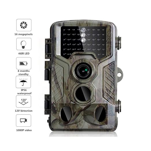 QYWSJ Cámara Salvaje con Detector Movimiento Visión Nocturna ...