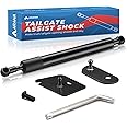 ARANA Tailgate Assist for Ford F250 F350 F450 2017-2024, Slow Drop Tailgate Assist Shock Damper Accessories for F250 F350 F450 Super Duty XL XLT LARIAT King Ranch Platinum Limited