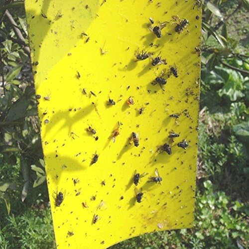 Seaped 25x20cm 15 PCS Double Sided Sticky Traps For Aphids,Whiteflies,Thrips,Leafhoppers,Gnats,Fruitflies,Parasitic wasps,Leafminers,Moths,Yellow