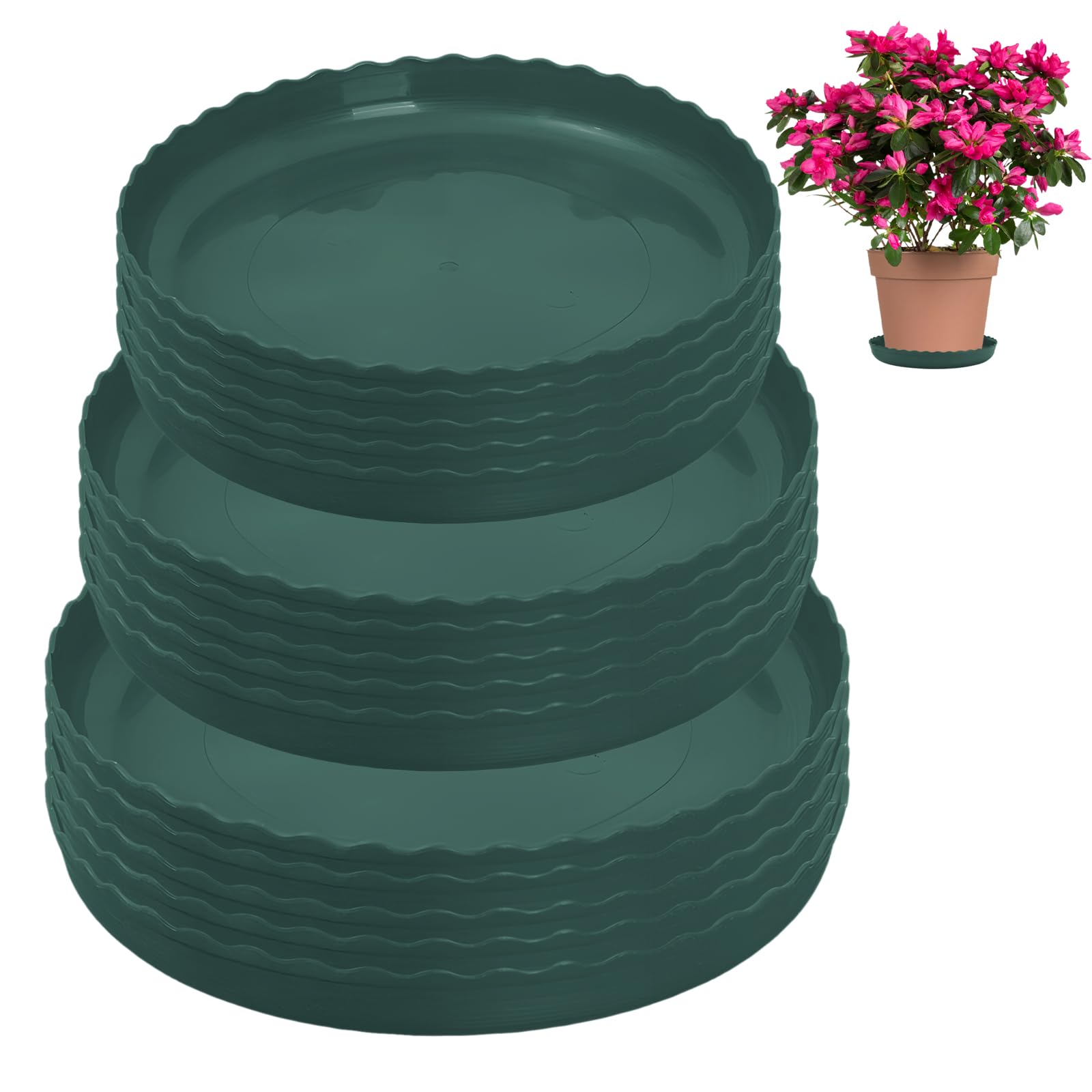 FEMONGY Plant saucers, Set of 15 Green Plant Tray - Plant Pot Saucers and Plant Pot Trays in 3 Sizes (14cm, 16cm, and 18cm) - Surface Protection for Household Plants