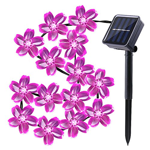 Qedertek Cherry Blossom Solar String Lights, 23ft 50 LED Waterproof Outdoor Decoration Lighting for Indoor/Outdoor, Patio, Lawn, Garden, Christmas, and Holiday Festivals (Pink)