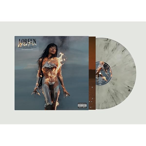 kanye west Vultures 1 レコード LP オフィシャル盤 Vultures 1 CDs - ¥$ CDs | CDs