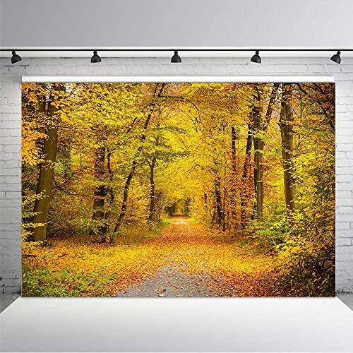 Comophoto 秋黄色い葉の背景 7x5フィート ビニール 秋の風景 木と秋の