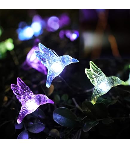 Accessori Per Il Trampolino, Luci Solari A Corda, Luci A Corda Solari - Foto 13