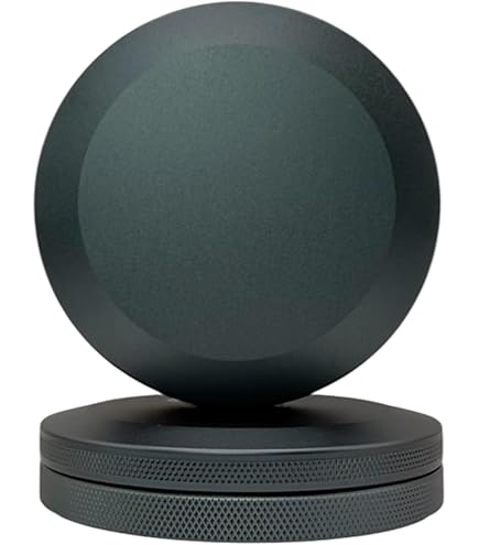 Amazon.com: TYNZZ Metal ZYN Container | Snus Holder | Smell Proof