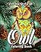 Owl Coloring Book: A Coloring Book for Adults Featuring Beautiful, Cute and Majestic Owl Designs for Stress Relief and Relaxation by Coloring  Book Cafe