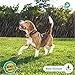 Anti Bark Collar Small to Medium Dog Rechargeable - Non Shock No Bark Device, Pain-Free, Safe, Ultrasonic Vibration - Dog Training Collars for Barking and Behavior - with USB Cord and Colorful Tags