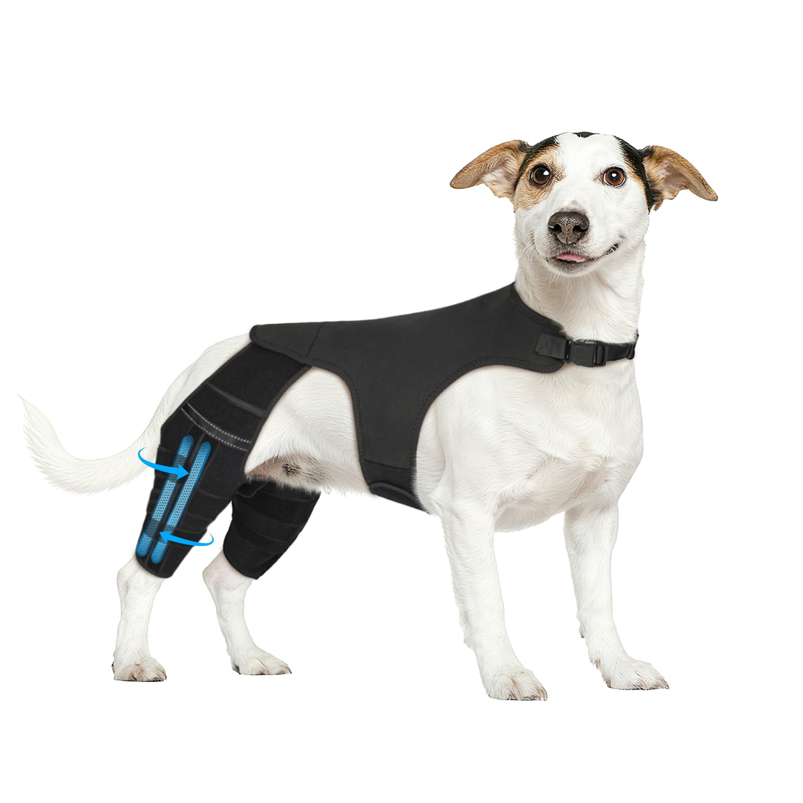 Photo 1 of Marnonsis Dog Knee Brace for Torn Acl Hind Leg, 4 Stabilizers Dog Leg Braces for Back Leg, Adjustable Hip Support 