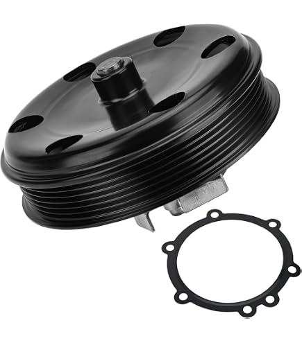 Amazon.com: GM Genuine Parts 251-822 (12687616) Engine Water Pump