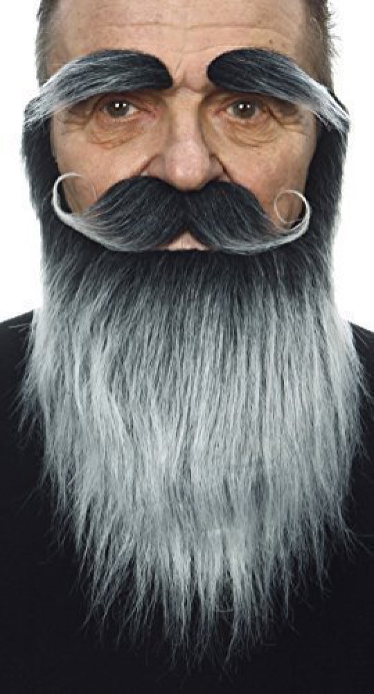 Medieval King salt and pepper beard, eyebrows and moustache