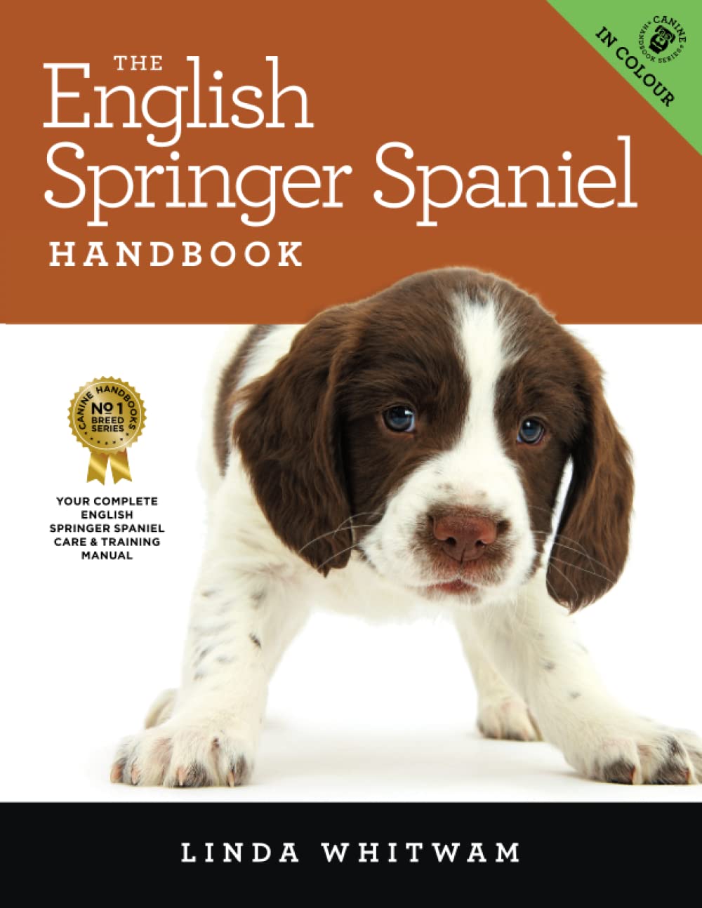 how to stop springer spaniel pulling on lead