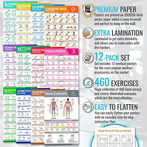 [12-PACK] Large Size Workout Poster Set - Perfect Workout Posters For Home Gym - Exercise Posters In - //medicalbooks.filipinodoctors.org