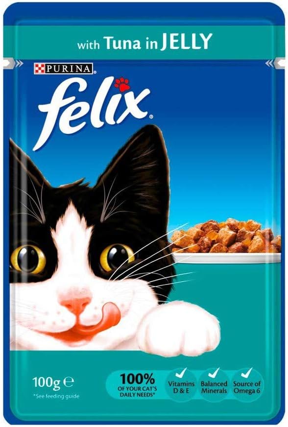 types of pet lizards for beginners