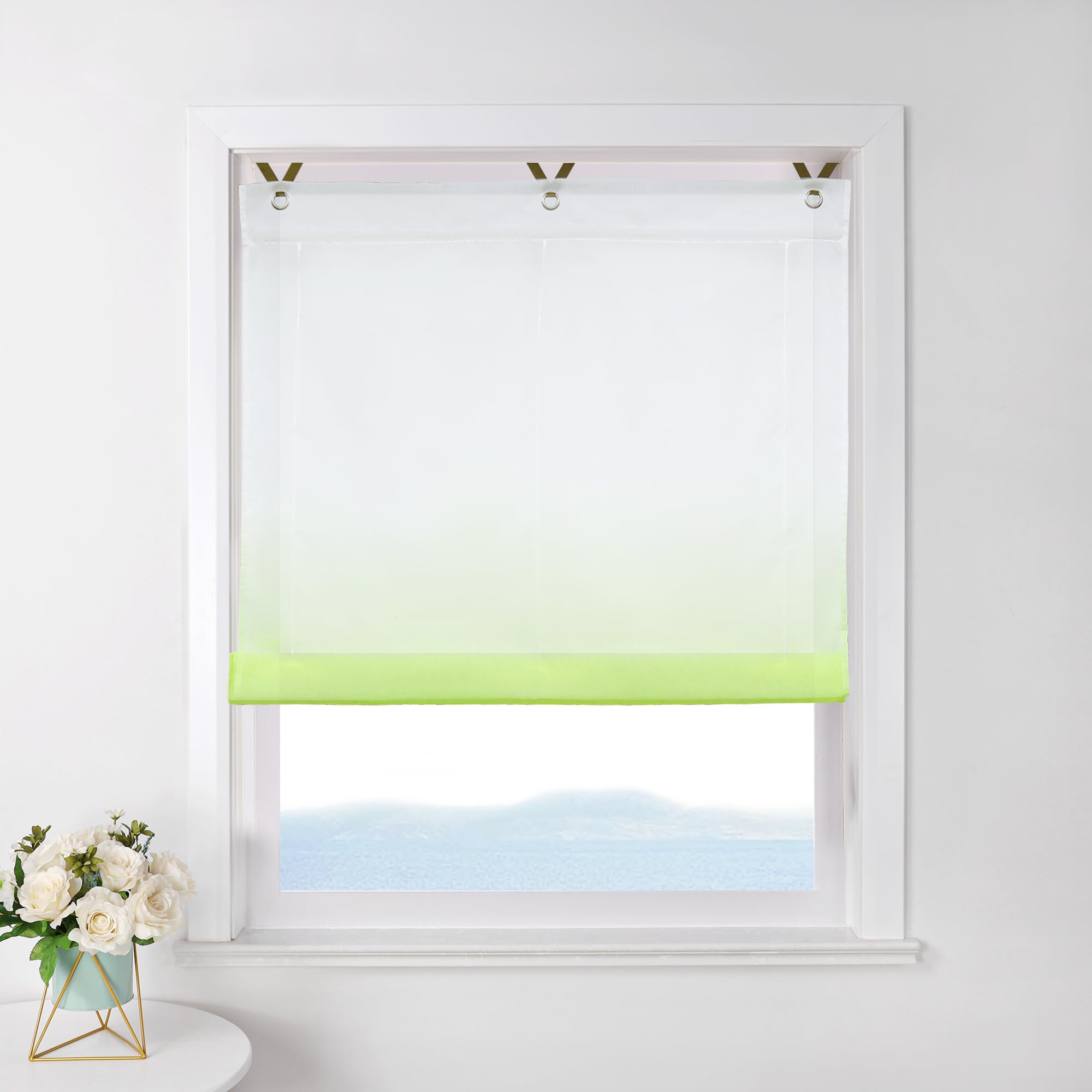 ESLIR Roman Blind No Drilling Roman Blind Transparent with Eyelets Colour Gradient Curtains with Hooks Eyelets Modern Curtain 1 Piece, 100 % polyester, Green, BxH 60x130cm
