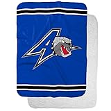 University of North Carolina Asheville Primary Logo