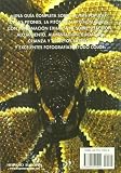 Image de La Piton Real / Python regius (Manuales Del Terrario) (Spanish Edition)
