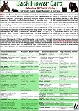 Image de Bach Flower Cards for Dogs, Cats, Small Animals & Horses - Behaviors & Affections - Veterinary Science Card