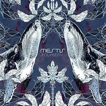 polysemy mestis polysemy mestis