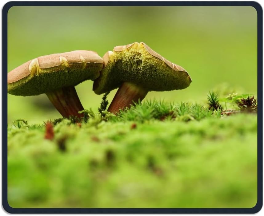 Readyybry Smurf Mushroom Soup Comfortable Rectangle Rubber Base Mousepad Gaming Mouse Pad