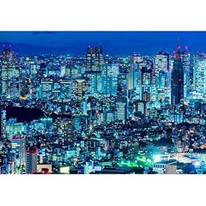 Tokyo Skyline, Shinjuku, Japan. - Removable Wall Mural | Self-Adhesive Large Wallpaper - 66x96 inches