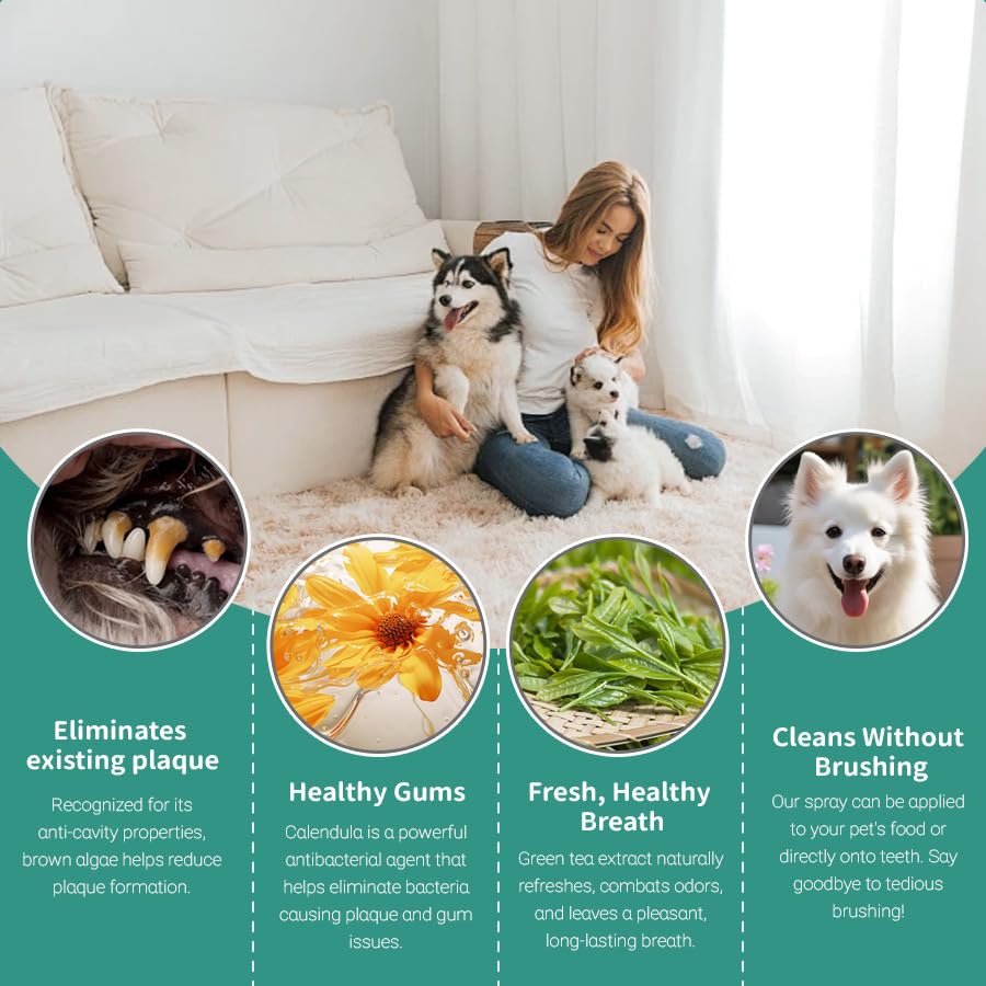 Srcasy DentaClean Spray for Dogs & Cats, No-Brush Plaque & Tartar Remover, Breath Freshener, Dentaclean for Dogs, Supports Daily Denta Hygiene, Easy Spray Use, 100ml