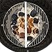 Zenware Barbeque Char Basket Charcoal Briquette Holders