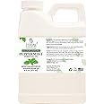 Peppermint Arvensis Essential Oil - 100% Pure and Natural Oil with Premium Dropper - Undiluted Essential Oil for Aromatherapy, Diffuser, Hair Care, Skin Massage and DIY's - Huge 16 Oz