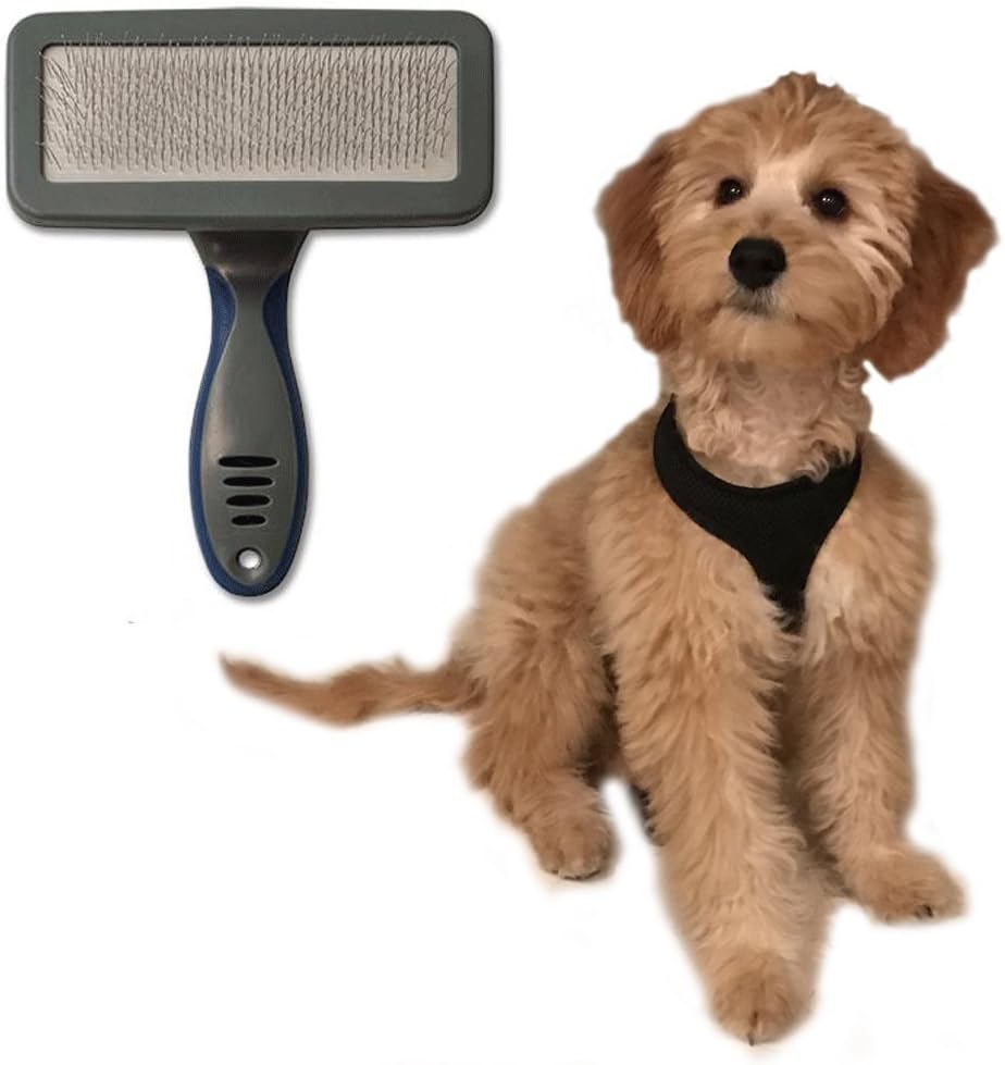 dog brush that catches hair