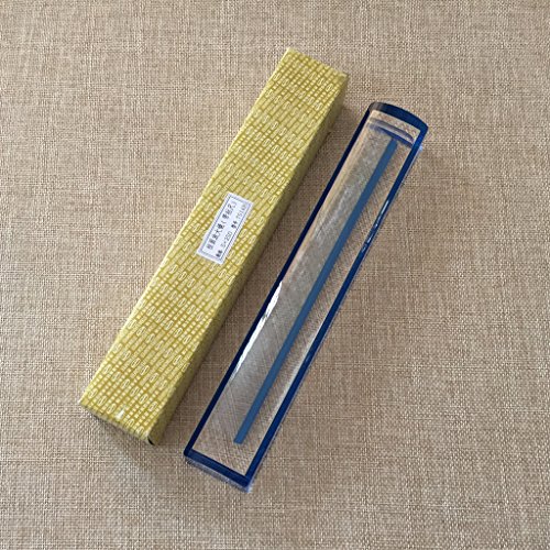 VISIONU 10 inch 5X Magnifier with Reading Tracking Line Measuring Scale Blue Raised Domed Bar Magnifying Glass