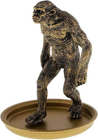 Amazon プラスチック 人類進化 猿人モデル フィギュア玩具 全5選択 D プラモデル 通販