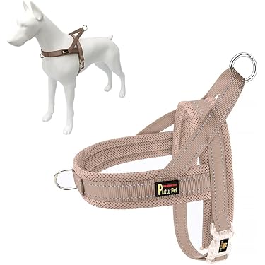 Amazon Best Sellers: Best Dog Collars, Harnesses & Leashes