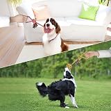 Vivifying Dog Rope Toys Pack of 2 Braided Cotton Interactive Chew Balls view 7