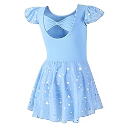 DIPUG Ballet Leotards for Girls Toddler Dance
