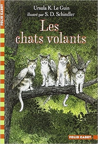 chats-volants