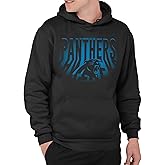 Junk Food Clothing x NFL - Team Spotlight - Unisex Adult Pullover Hoodie for Men and Women - Officially Licensed NFL Apparel