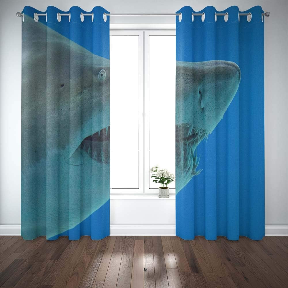 Shorping Window Curtains, Window Panels Sliding Blackout Curtains Sand Tiger Shark of Lorenzini Country Shower Curtain for Bedroom 52X63 Inches,2 Pc