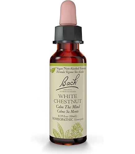 Amazon.com: Bach Original Flower Remedies, Vine - Motivate Not