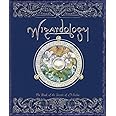 Wizardology: The Book of the Secrets of Merlin (Ologies)