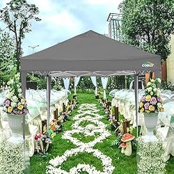 COBIZI 10x10 Pop up Canopy Tent Protable Canopy